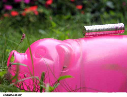 Lipstick on a Pig